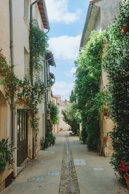 Chaleureux appartement plein de charme à Barras — Appartement · Barras, Provence