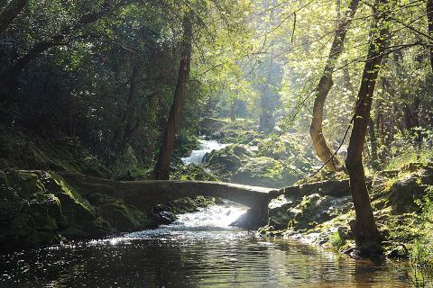 Sentier De La Brague