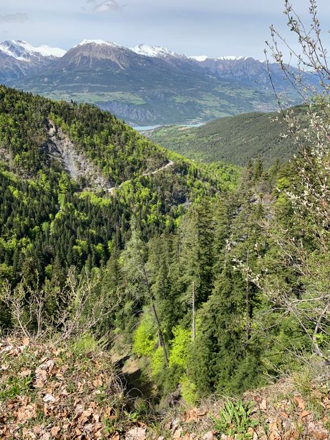 Belvédère du Colombier