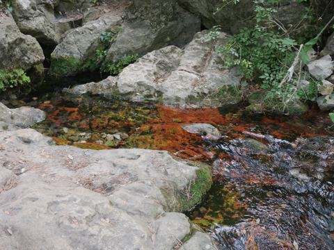 Gouffre des Encanaux