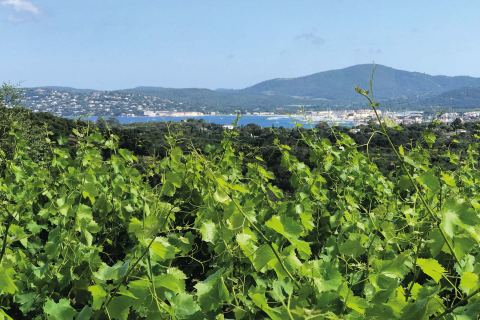 Clos des B