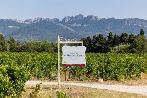 Domaine Andre Berthet-Rayne