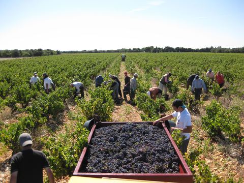 Domaine de la Berthète
