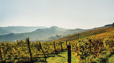Domaine Beauvence