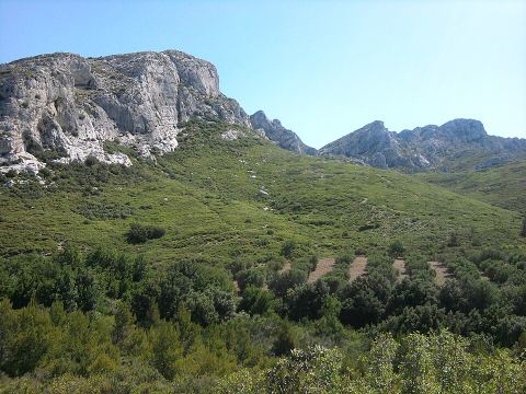 Balme du Larron