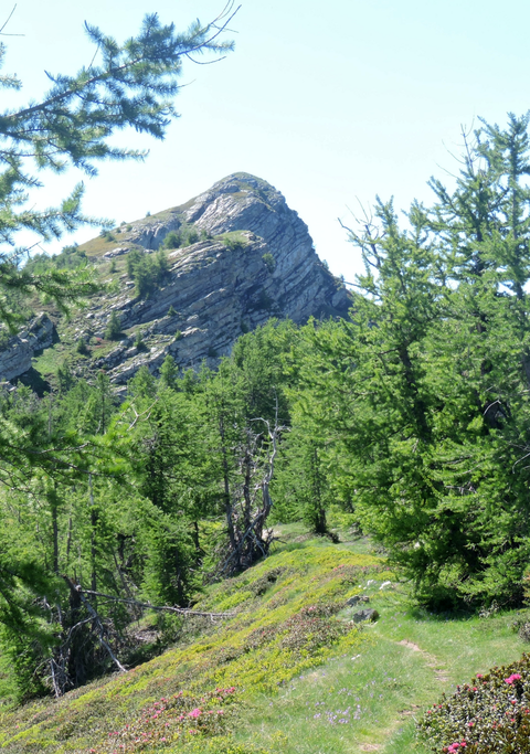 Cime Missoun