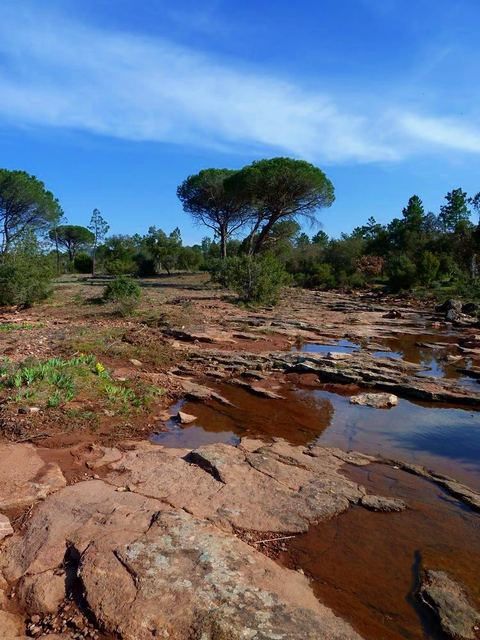 Réserve naturelle nationale de la plaine des Maures