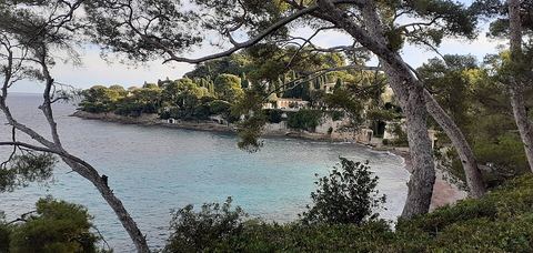 Plage de la Paloma