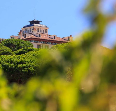 Domaine Cap Saint-Pierre