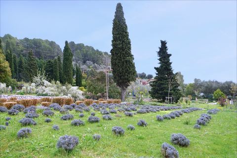 Les Jardins du Musée International de la Parfumerie