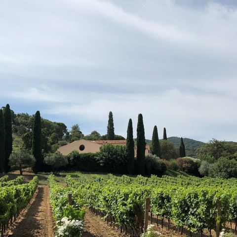 Domaine de la Rouillère