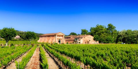 Domaine Bertaud-Belieu
