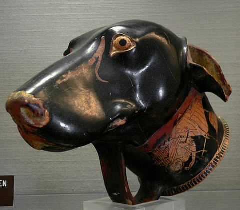 Tête de Chien