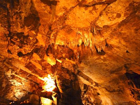 Grotte des Escaupres
