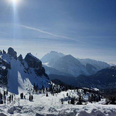 Cime de Merlier