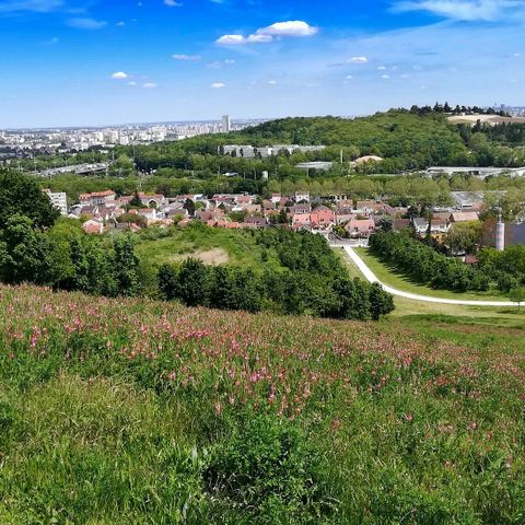 Butte des Pinsots