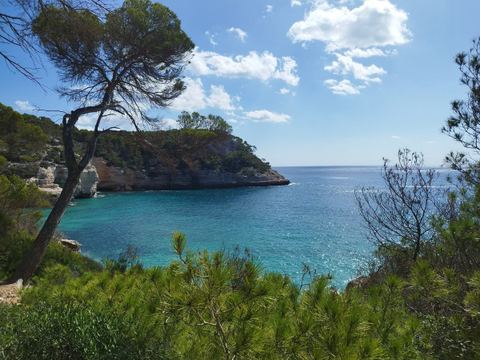 Caïre de Rogué