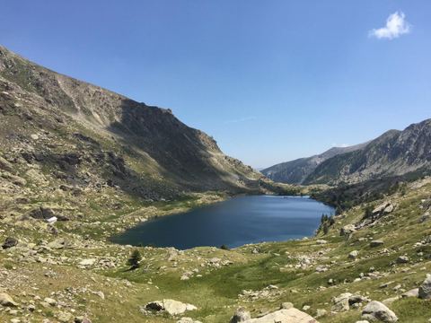 Caïre Nègre du Mercantour