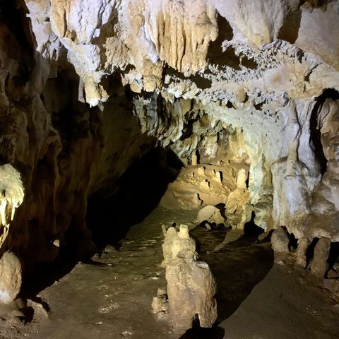 Grotte du loup
