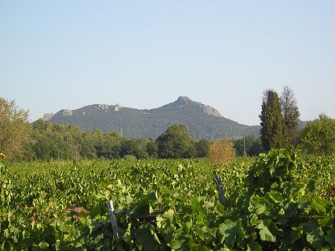 Grande Colline de Brandine