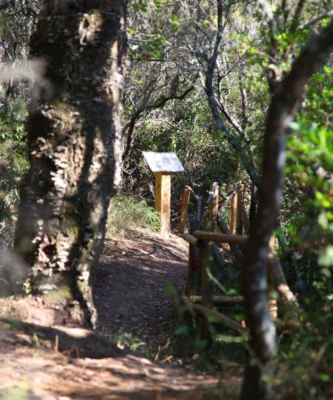 Sentier Botanique De Sainte Propice