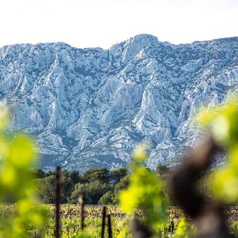 Domaine du Jas Monge