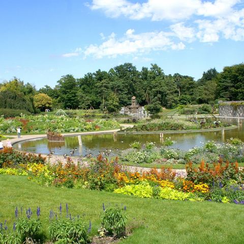 Projet : Parc international floral