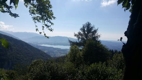 Guglia d'Arbour