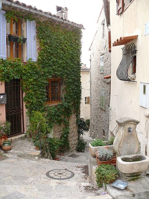 Cayre Cabri