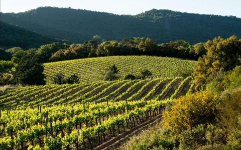 Domaine Val d'Astier
