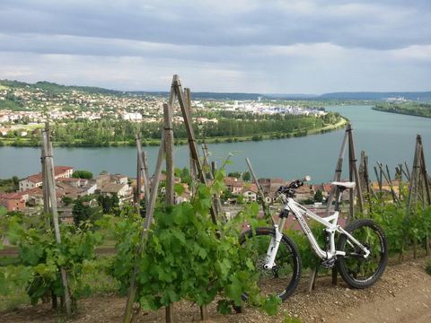 Les viticulteurs de Calas