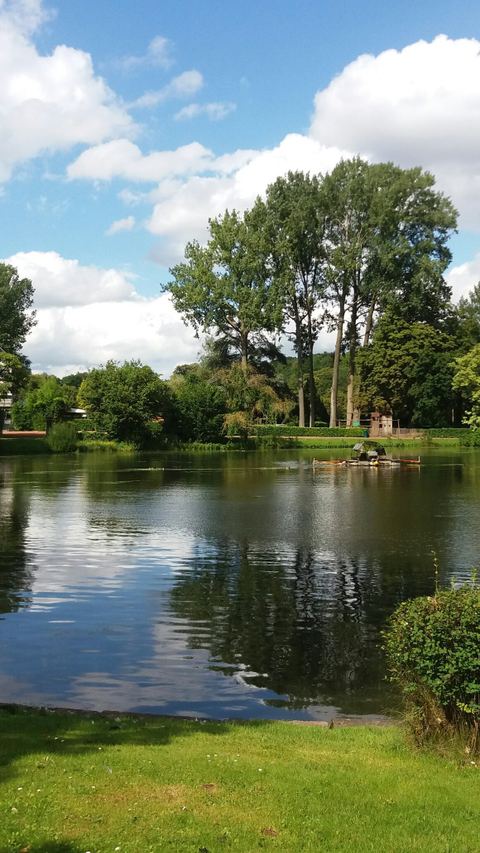 Parc Des Savels
