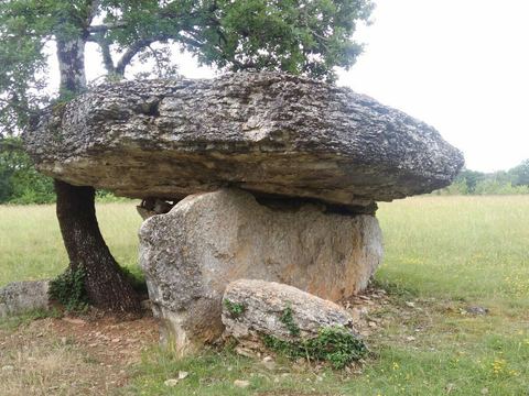 Dolmen de Haute Suane