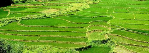 Hoa Binh