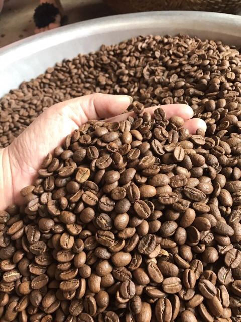 Grain de café Lambesc
