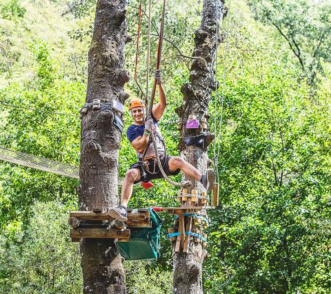 Canyon Forest - Page officielle