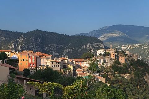 Au Bidochon