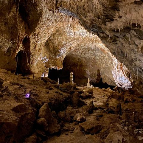 Cave des Vignerons de Cogolin