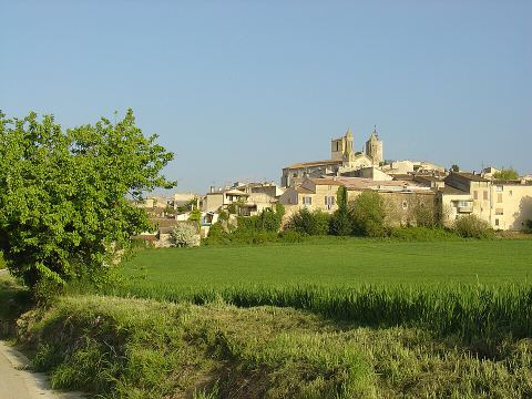 Provence Safran