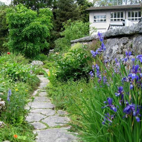 Le Jardin De Berne