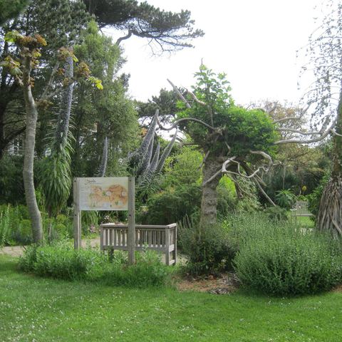 Jardin Botanique