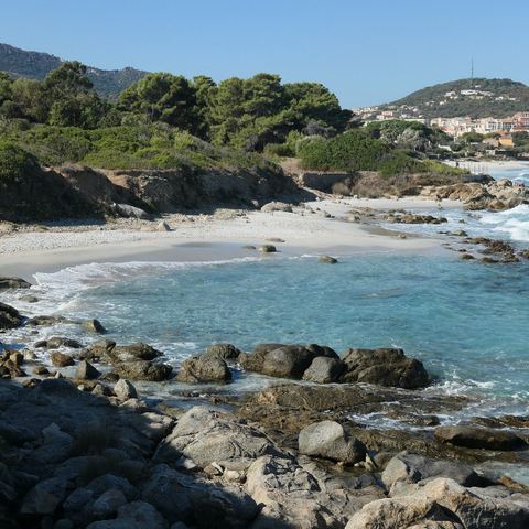 Crique de Rouvier