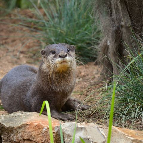Zoo de Sanary-sur-mer