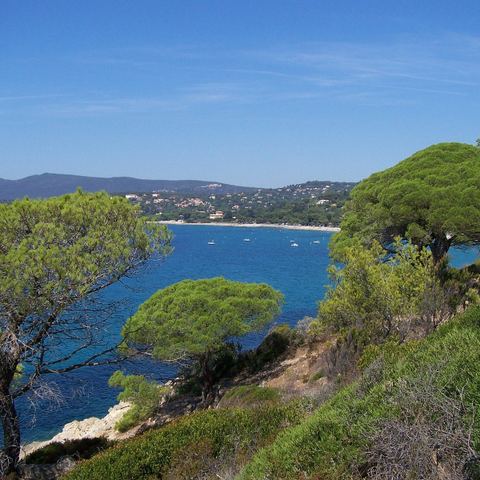 Gigaro