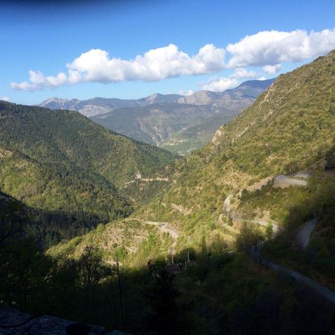 Forêt de Turini