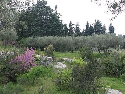 L'Oliveraie de La Farlède