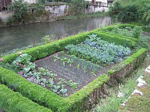 La cantine du potager