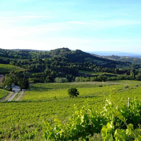Clos du Calvaire