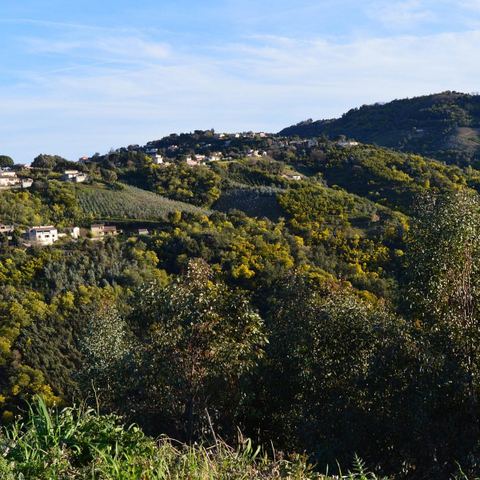 Massif de Tanneron