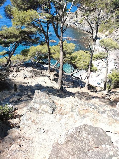 Le 6 Plage